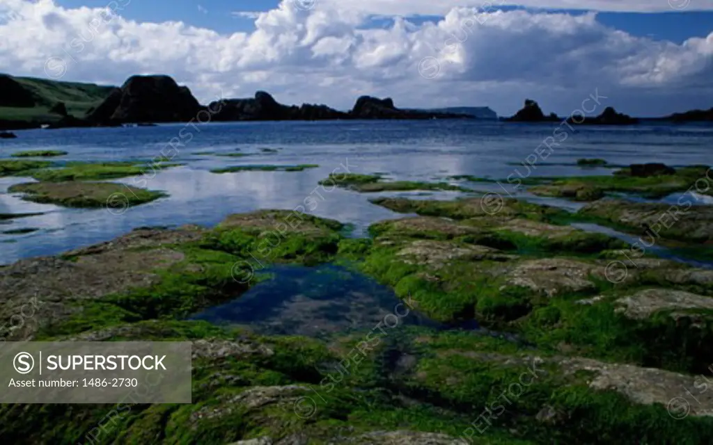Panoramic view of a landscape, Ballintoy, County Antrim, Northern Ireland