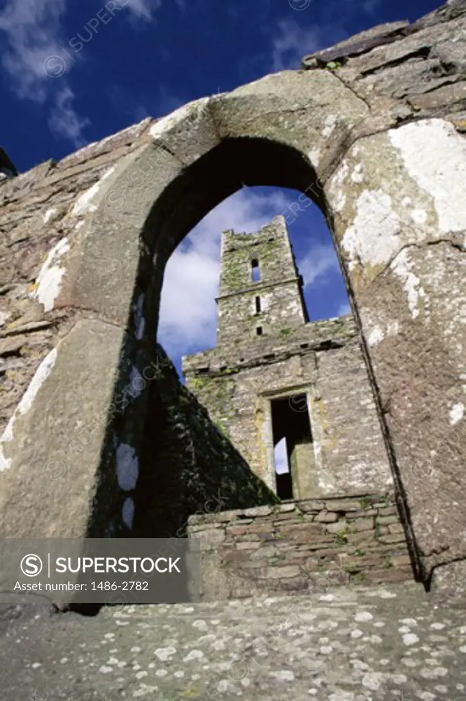 Low angle view of an abbey, Timoleague Abbey, Timoleague, County Cork, Ireland