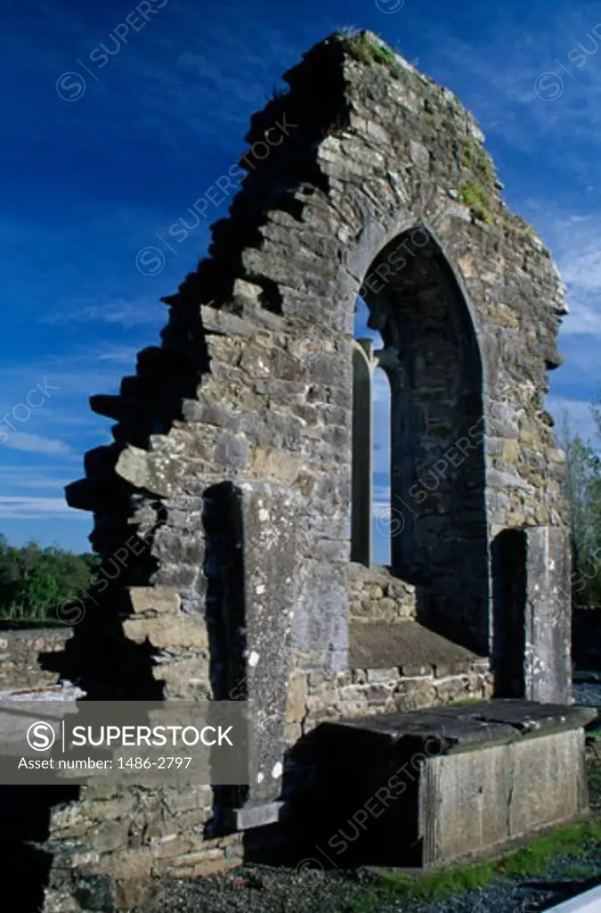 Archway of an old ruin, Knocktopher Abbey, County Kilkenny, Ireland