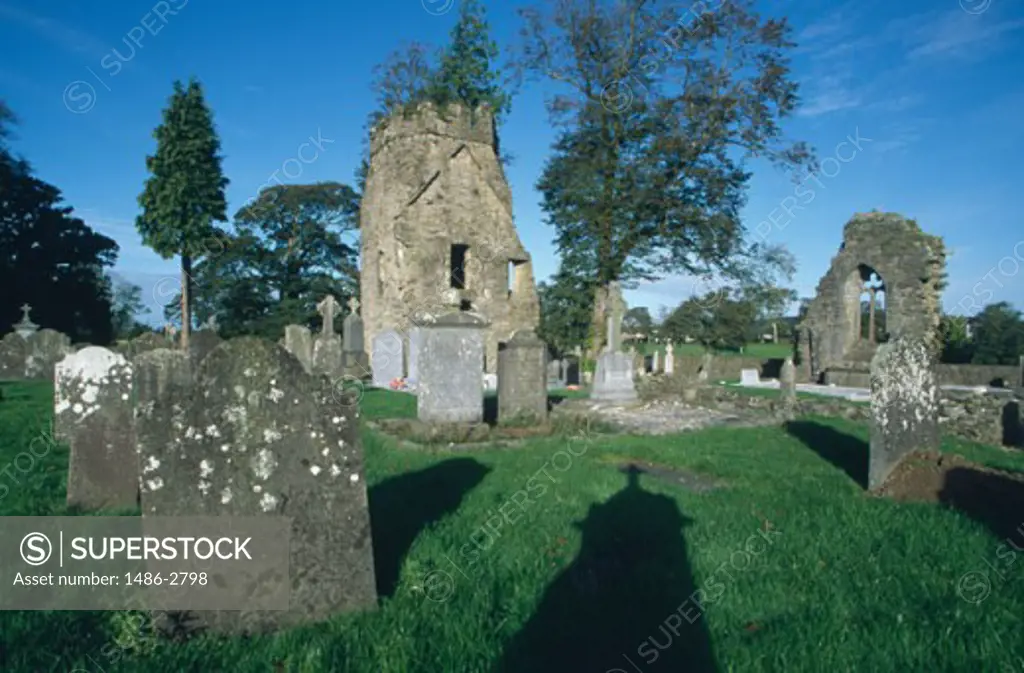 Tombstones in a cemetery, Knocktopher Abbey, Knocktopher, County Kilkenny, Ireland