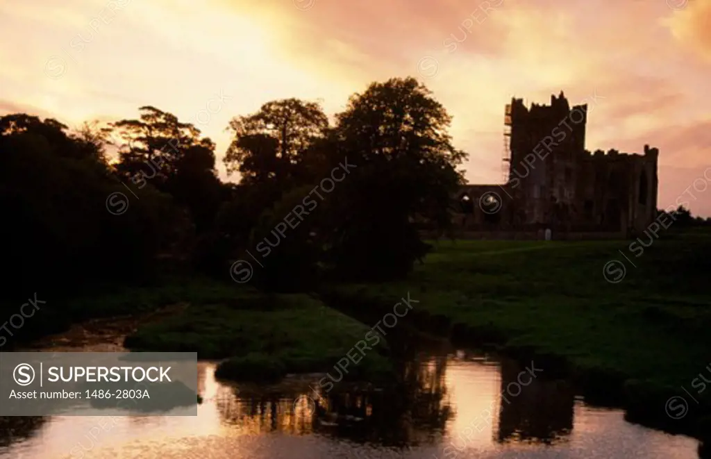 Silhouette of old ruins, Tintern Abbey, County Wexford, Ireland
