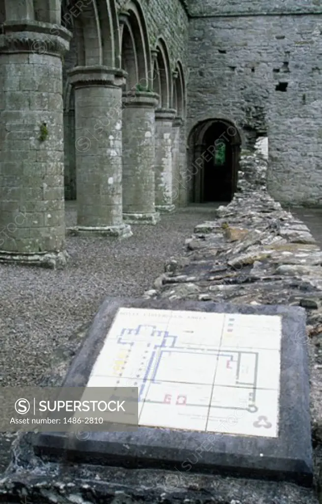 Interior of an abbey, Boyle Abbey, Boyle, County Roscommon, Ireland
