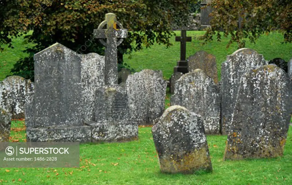 Tombstones in a cemetery, Kilkenny, County Kilkenny, Ireland