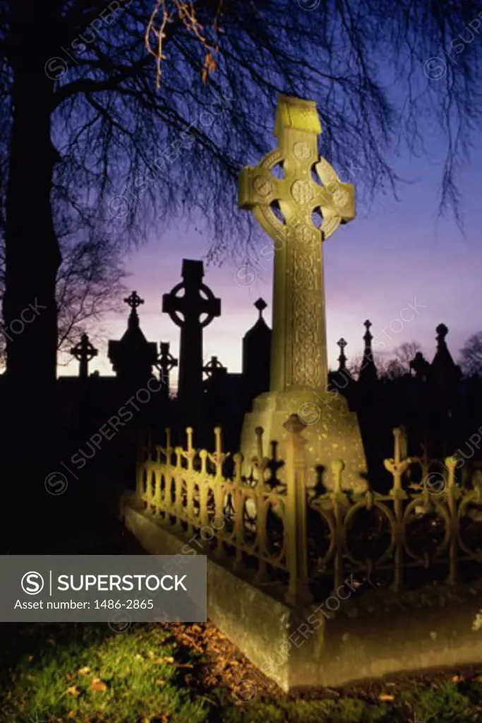 Tombstones in a cemetery, St. Finbarr's Cemetery, Cork, County Cork, Ireland