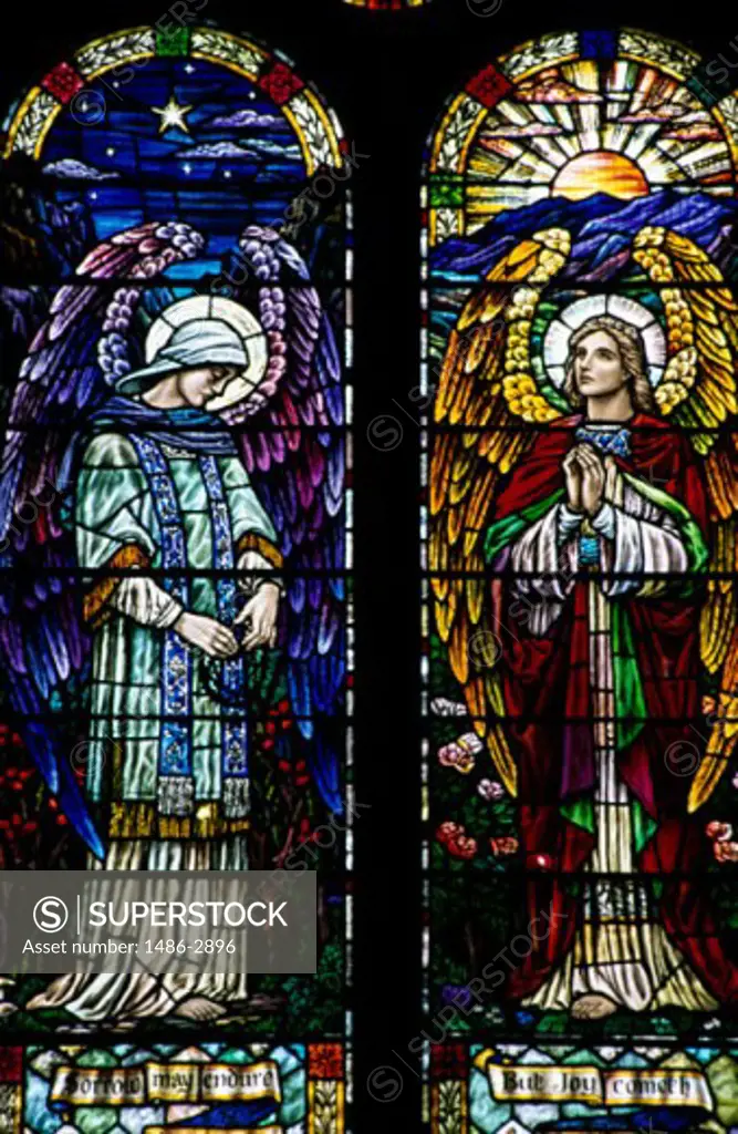 Stained glass in a church, Christ Church Cathedral, Waterford, County Waterford, Ireland