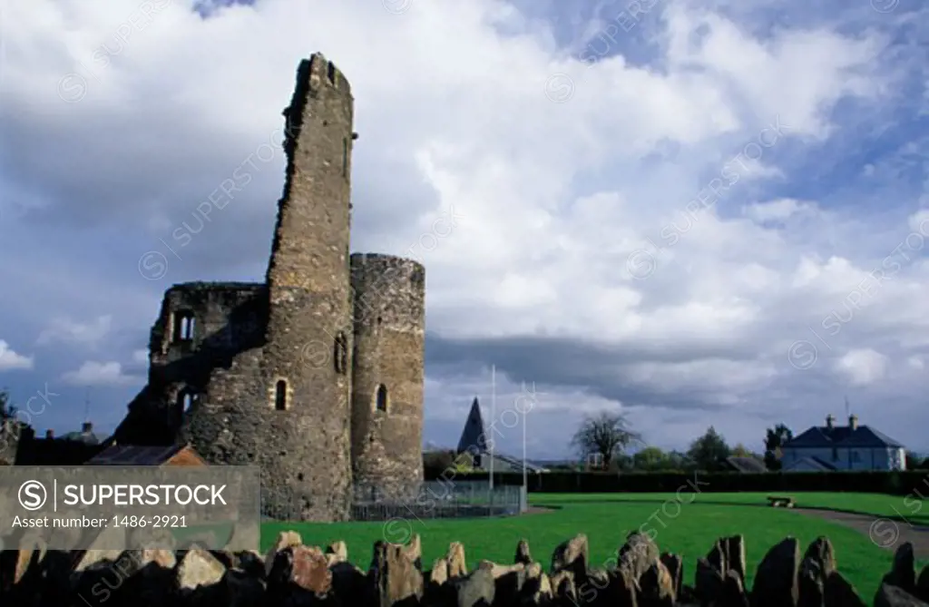Facade of a castle, Ferns Castle, County Wexford, Ireland