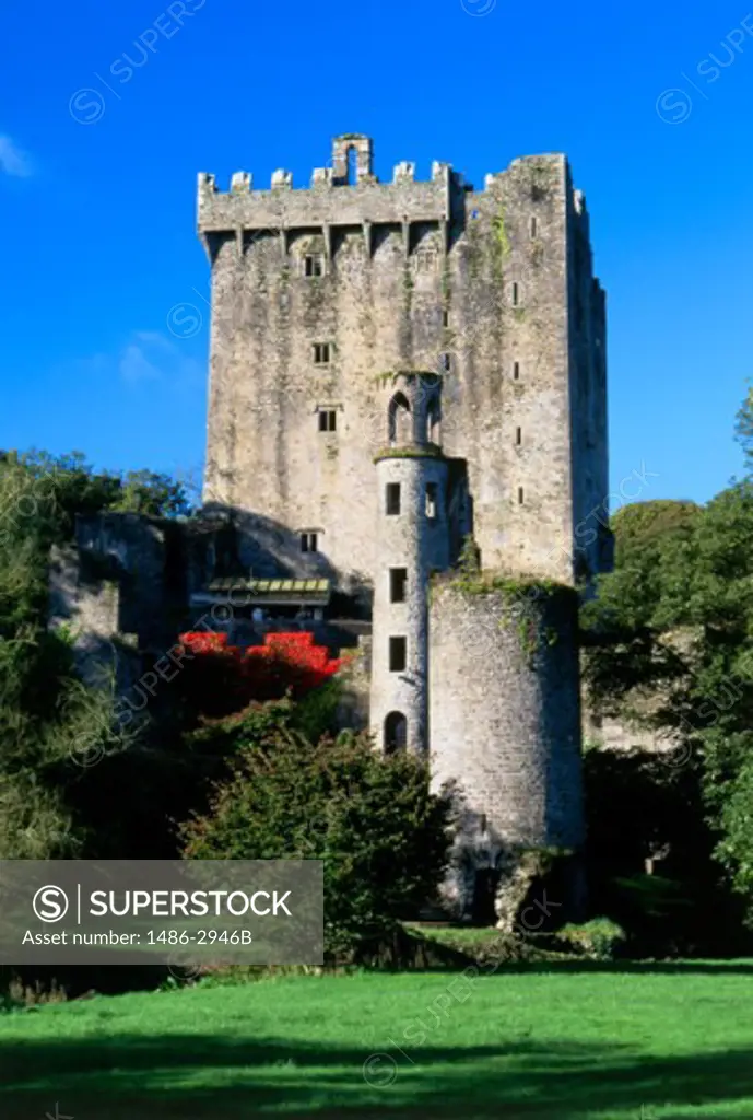 Low angle view of a castle, Blarney Castle, County Cork, Ireland