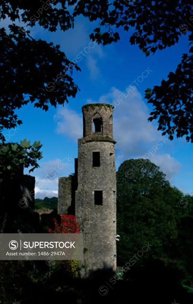 Low angle view of a castle, Blarney Castle, County Cork, Ireland