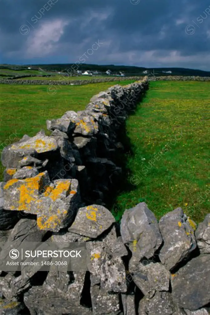 Stone wall in a field, Inishmore, Ireland