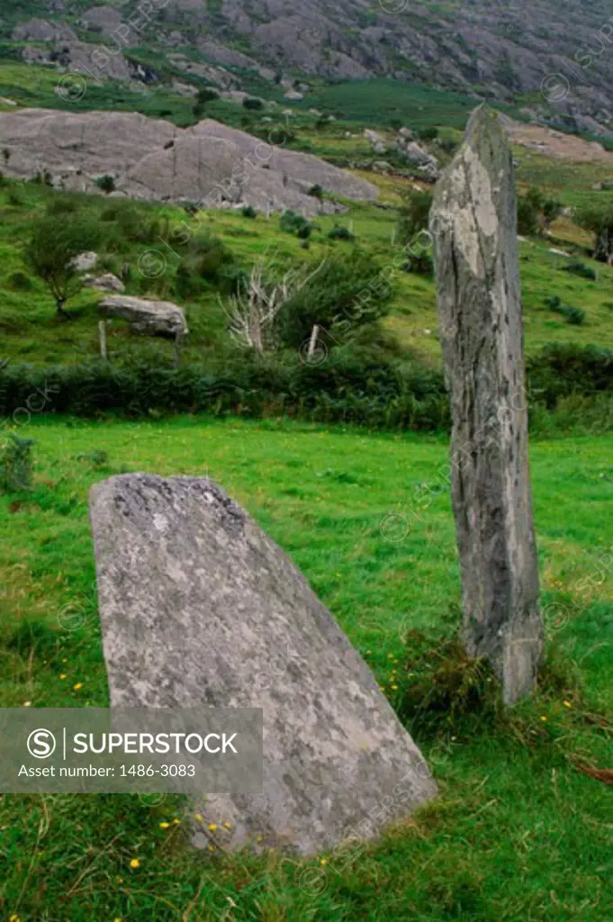 Stones in a field, Stone Circle, Beara Peninsula, Ireland