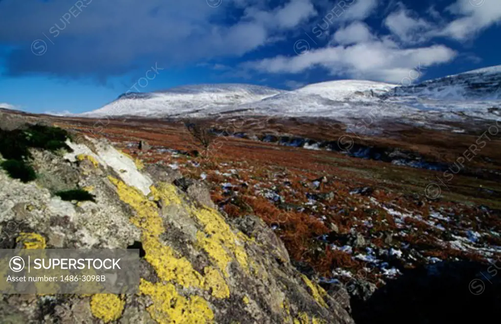 Close-up of rocks on a mountain, Nire Valley, County Waterford, Ireland