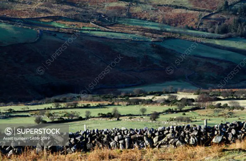 Stone wall in a field, Nire Valley, County Waterford, Ireland