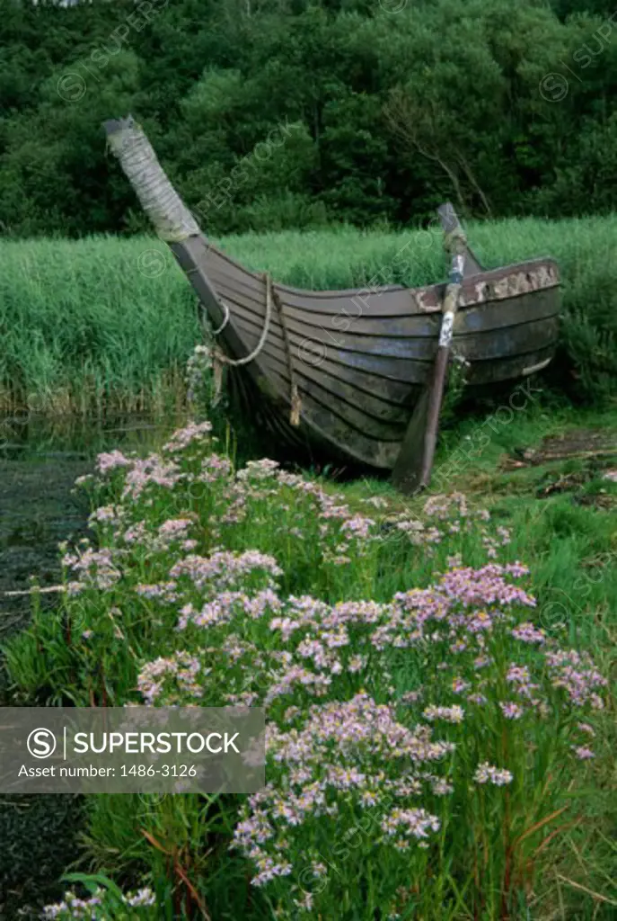 Boat in a forest, Irish National Heritage Park, Ferrycarrig, County Wexford, Ireland