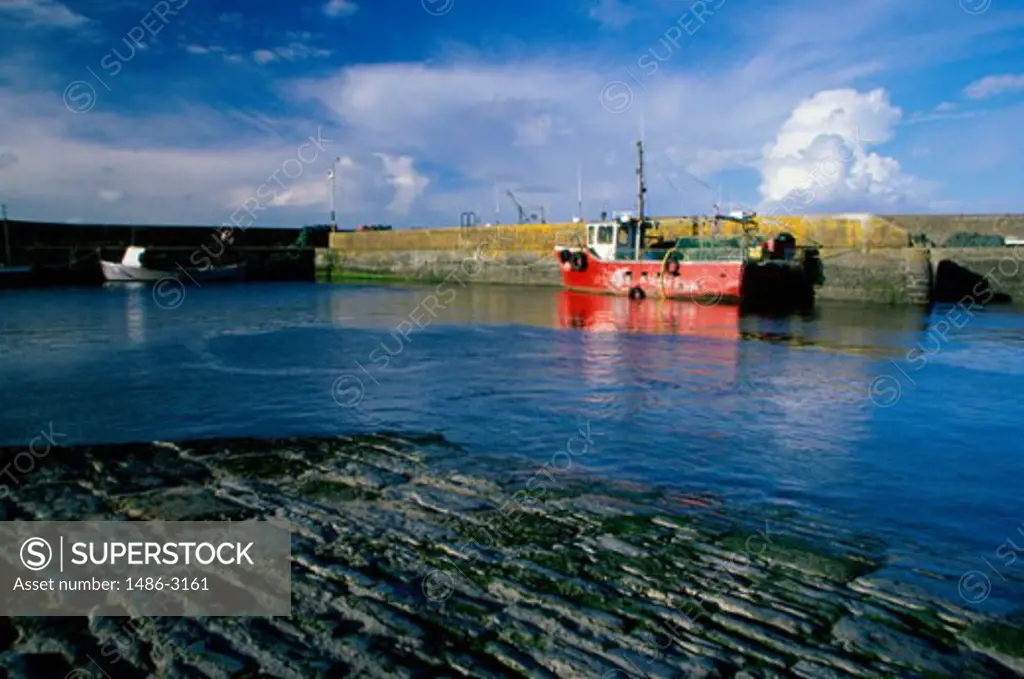 Fishing trawler docked at a port, Hook Head, Ireland