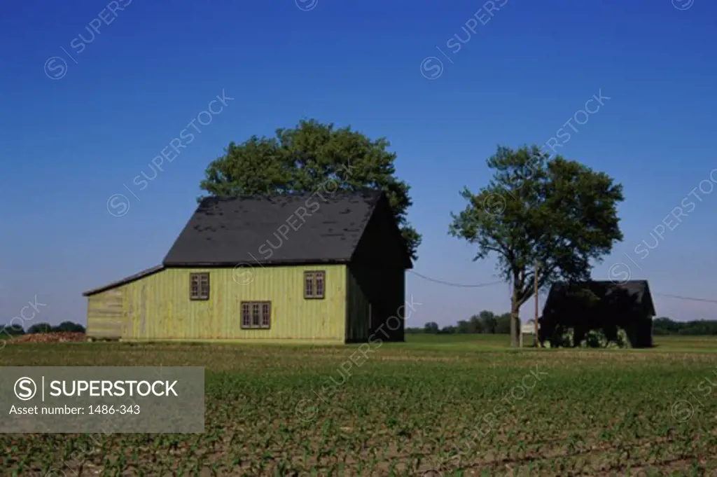 Farmhouse in a field, Illinois, USA