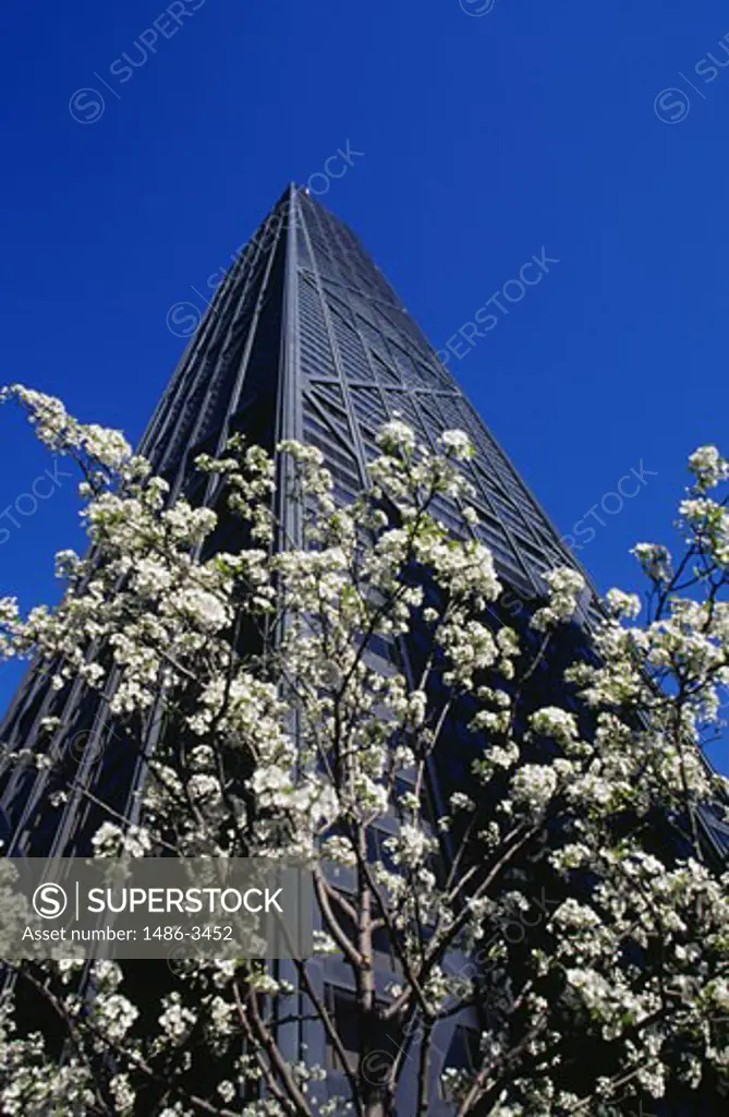 USA, Illinois, Chicago, John Hancock Center against blue sky with flowering tree, low angle view
