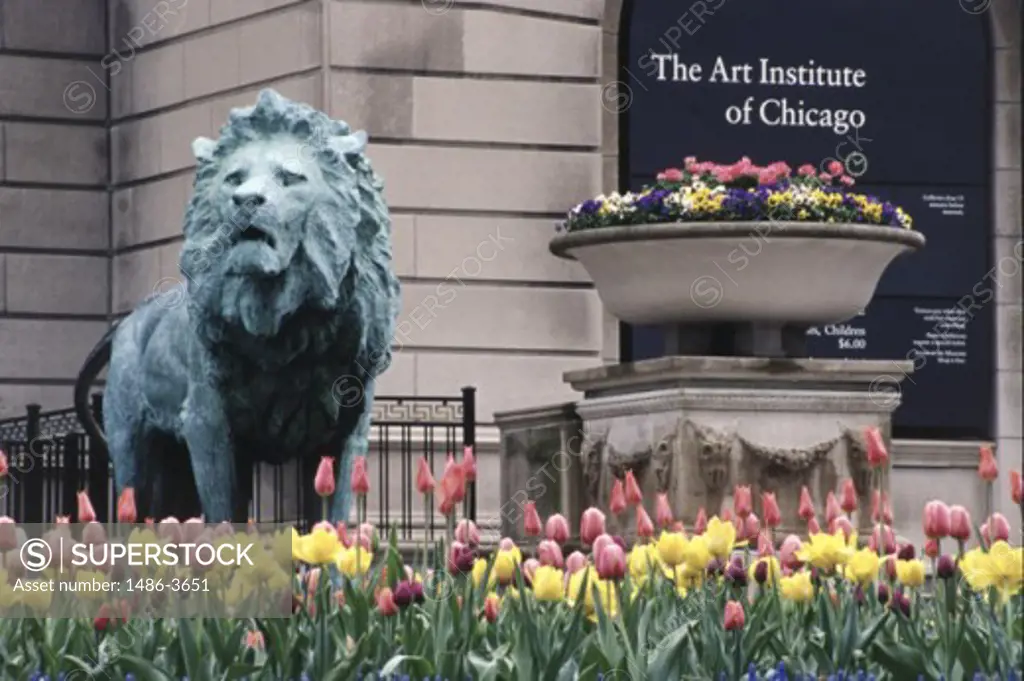 Close-up of a sculpture of a lion in front of an art museum, Art Institute of Chicago, Chicago, Illinois, USA