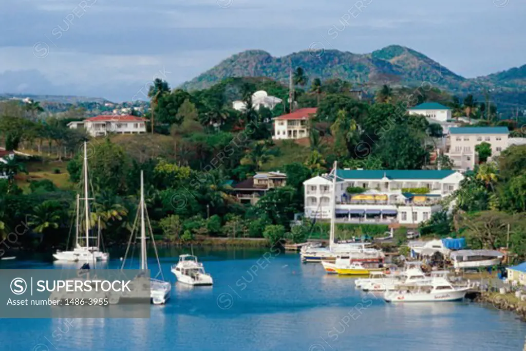 Boats docked at a harbor, Castries, St. Lucia