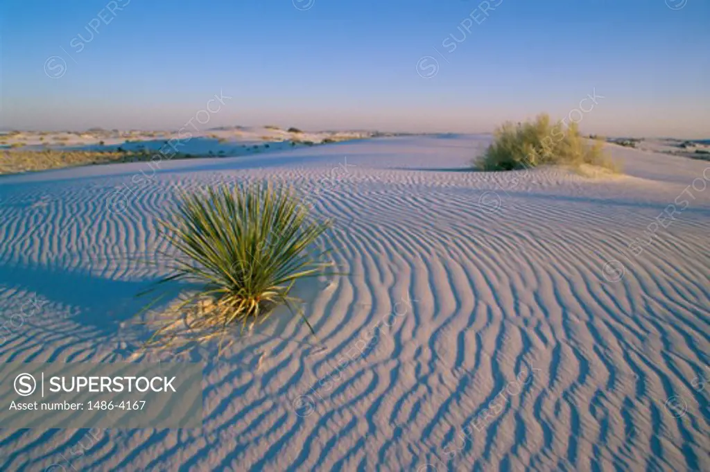 Panoramic view of a desert, White Sands National Monument, New Mexico, USA