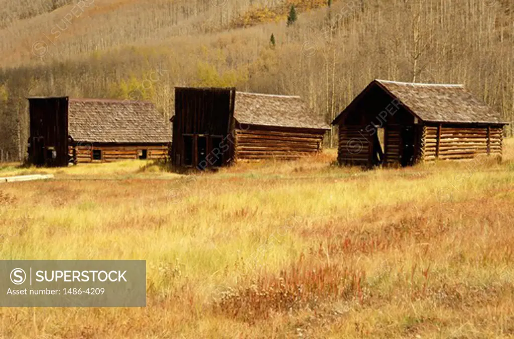 USA, Colorado, Ashcroft Ghost Town, abandoned wooden houses