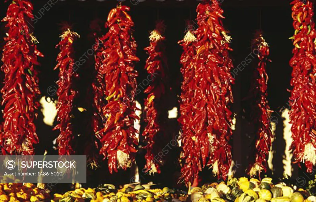USA, Texas, Dallas, Dallas Farmers Market, hanging red peppers