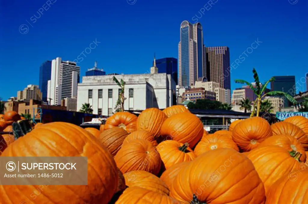 Pumpkins at the Dallas Farmers Market, Dallas, Texas, USA