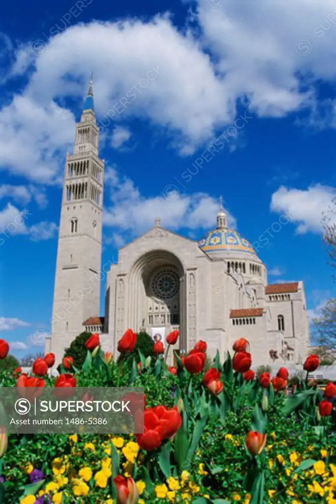 Basilica of the National Shrine of the Immaculate Conception, Washington D.C., USA