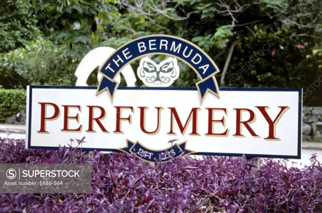Perfumery Bermuda