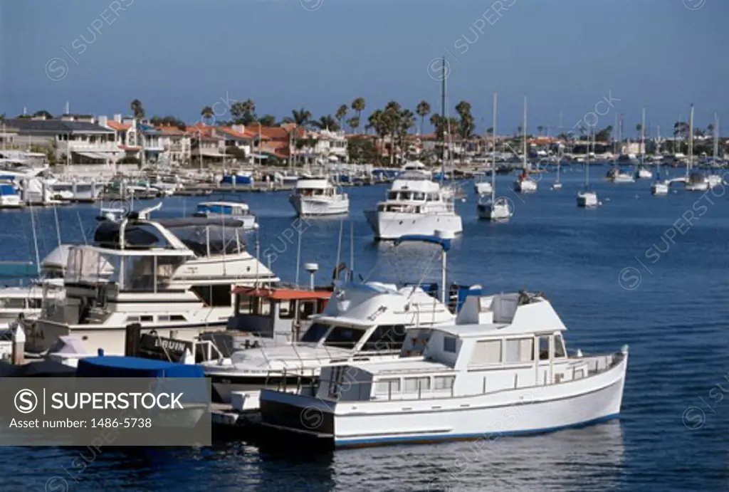Boats moored at a dock, Newport Beach, California, USA