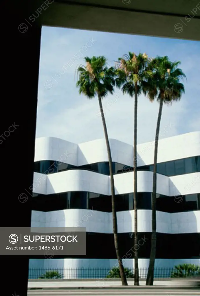 Palm trees in front of a building, Beverly Hills, California, USA