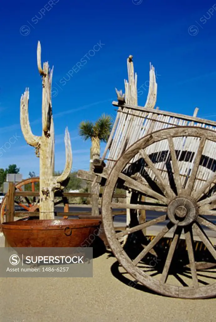 Wagon wheel near a Cactus, Arizona, USA