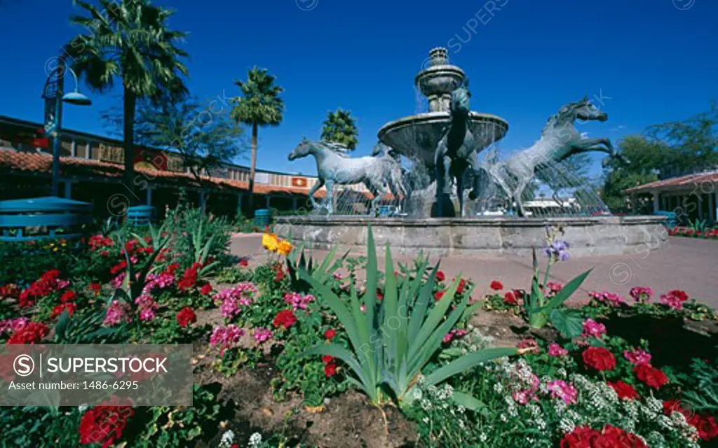 Flowers in front of a fountain, Scottsdale, Arizona, USA