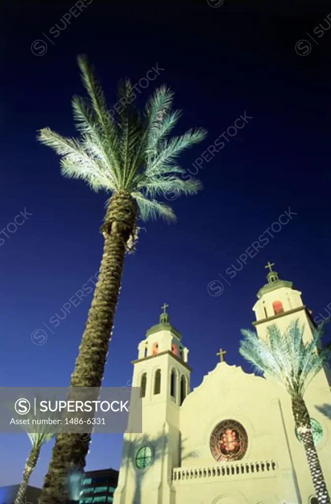 Low angle view of a palm tree in front of a basilica, St. Mary's Basilica, Phoenix, Arizona, USA