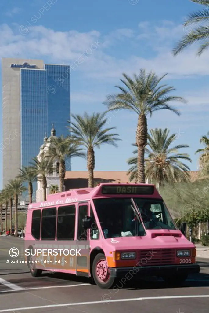 USA, Arizona, Phoenix, Bus on tree lined street