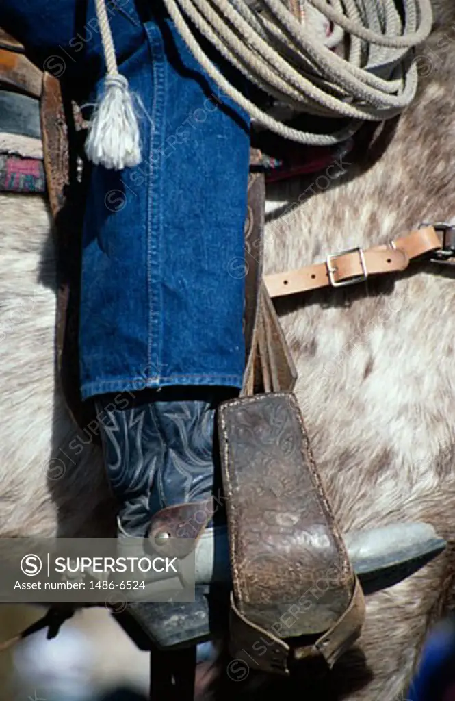 Cowboy riding a horse in Tucson Rodeo Parade, Tucson, Arizona, USA