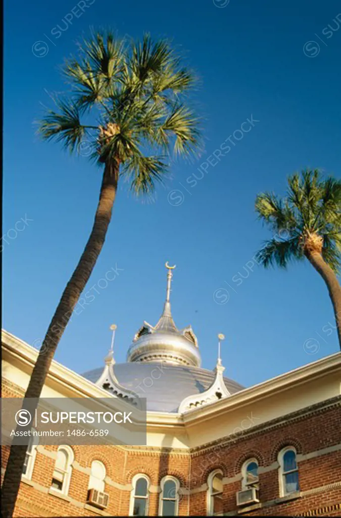 USA, Florida, Tampa, University of Tampa and palm trees against blue sky