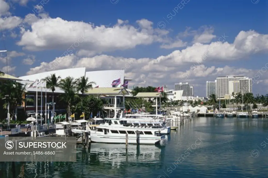 High angle view of boats docked in a harbor, Miami, Florida, USA