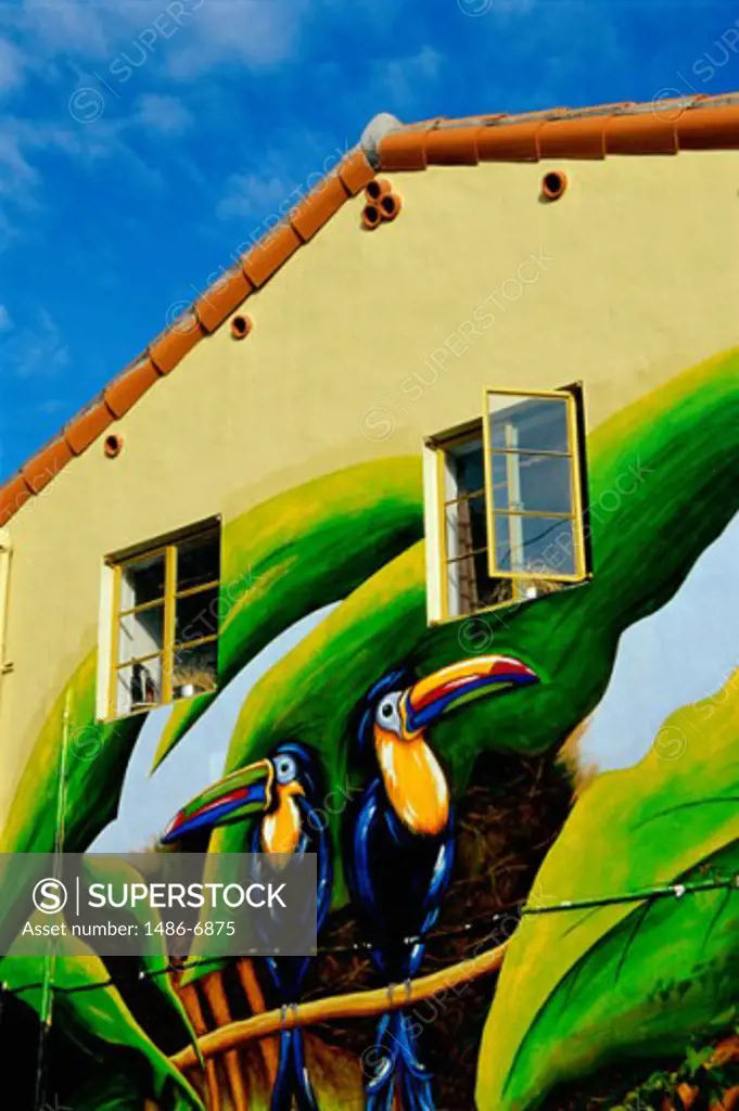 Tropical mural of toucans, Miami, Florida, USA