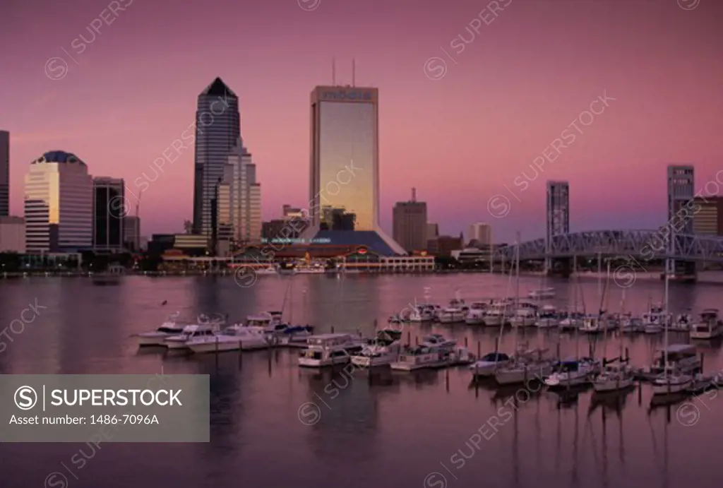 High angle view of boats docked in a harbor, Jacksonville, Florida, USA