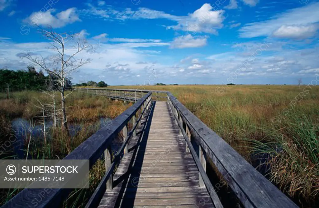 Everglades National Park Florida USA