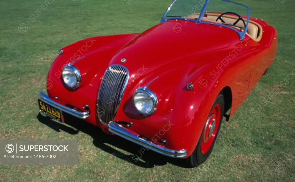 1954 Jaguar