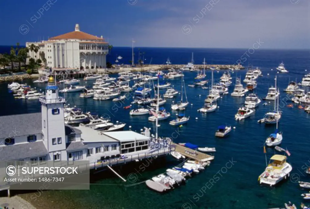 High angle view of boats docked in a harbor, Catalina Island, California, USA