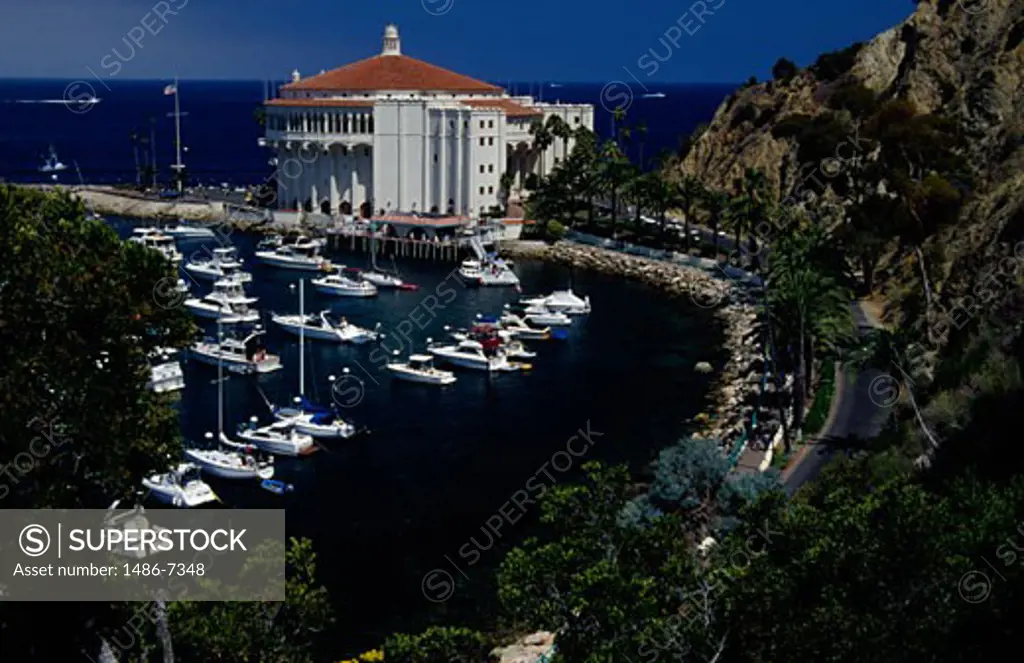 Boats in the sea, Catalina Island, California, USA