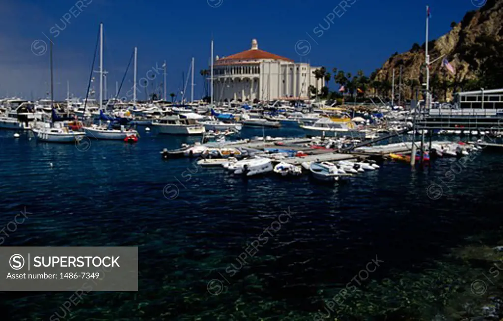 Boats docked at a harbor, Catalina Island, California, USA