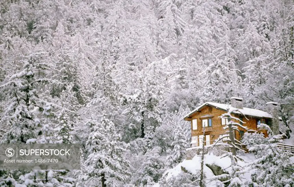 USA, California, San Jacinto Mountains, House in snowy forest