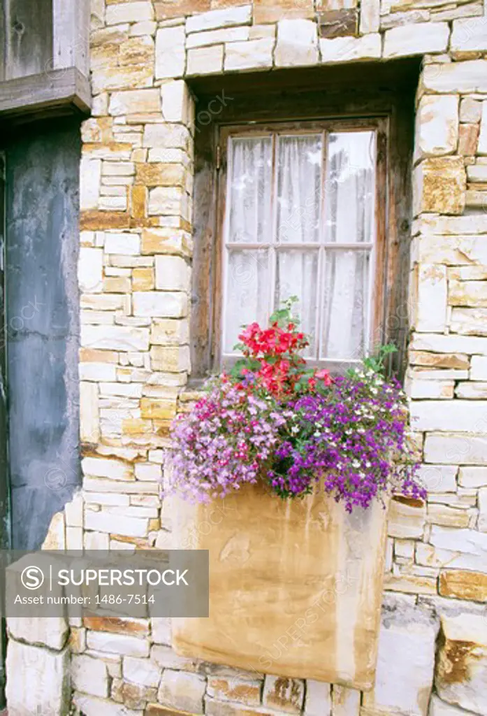 USA, California, Carmel, Poted flowers at stone facade