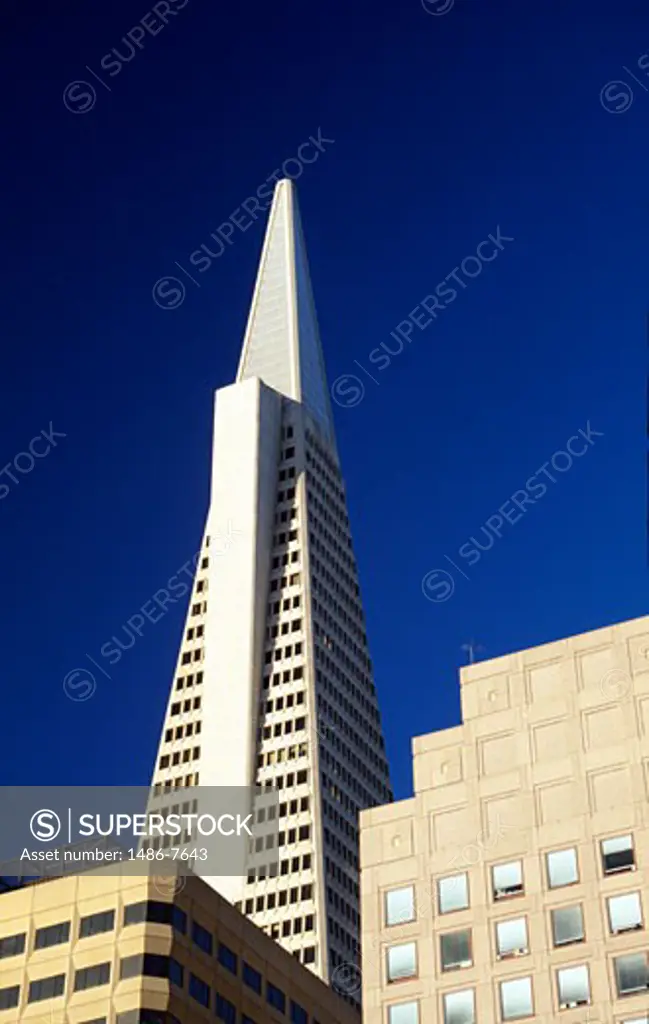Buildings in a city, Transamerica Pyramid, San Francisco, California, USA