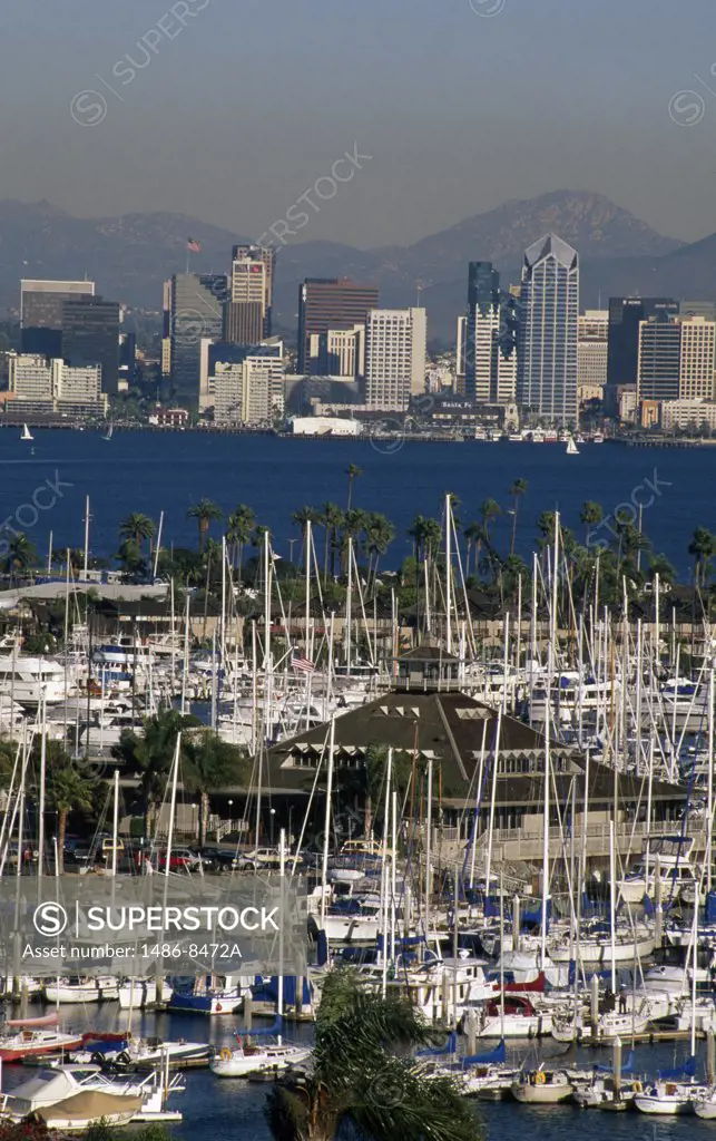 Boats docked at a harbor, San Diego, California, USA