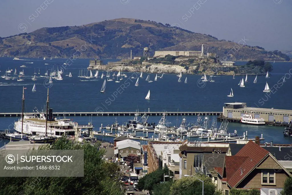 High angle view of yachts, Fisherman's Wharf, San Francisco, California, USA
