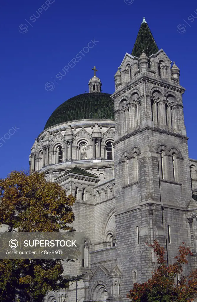 Low angle view of a cathedral, Cathedral Basilica Of St. Louis, St. Louis, Missouri, USA